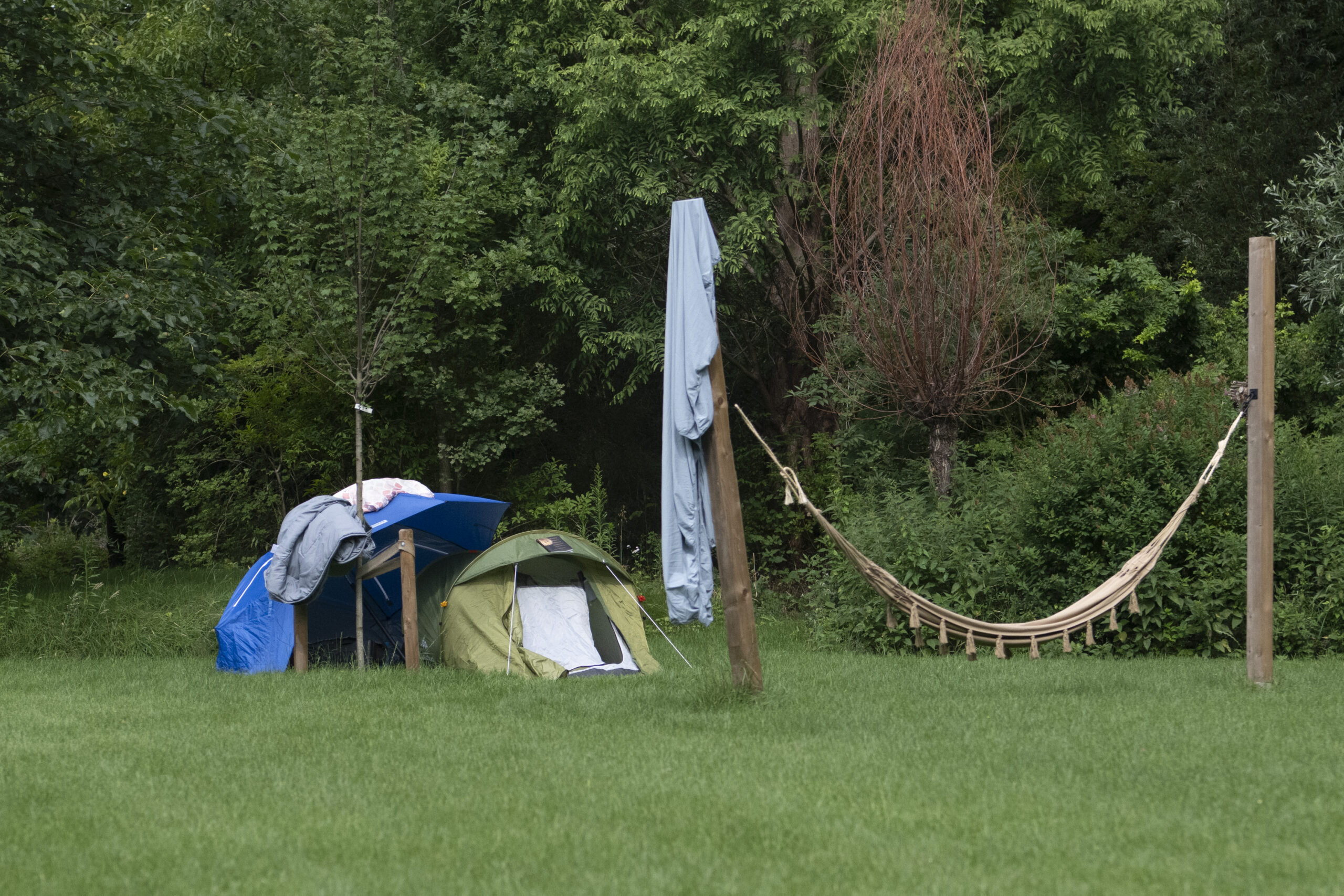 Campsite with blue and green tents, a hammock between wooden posts, and clothes hanging on a line in a grassy yard with trees in the background.