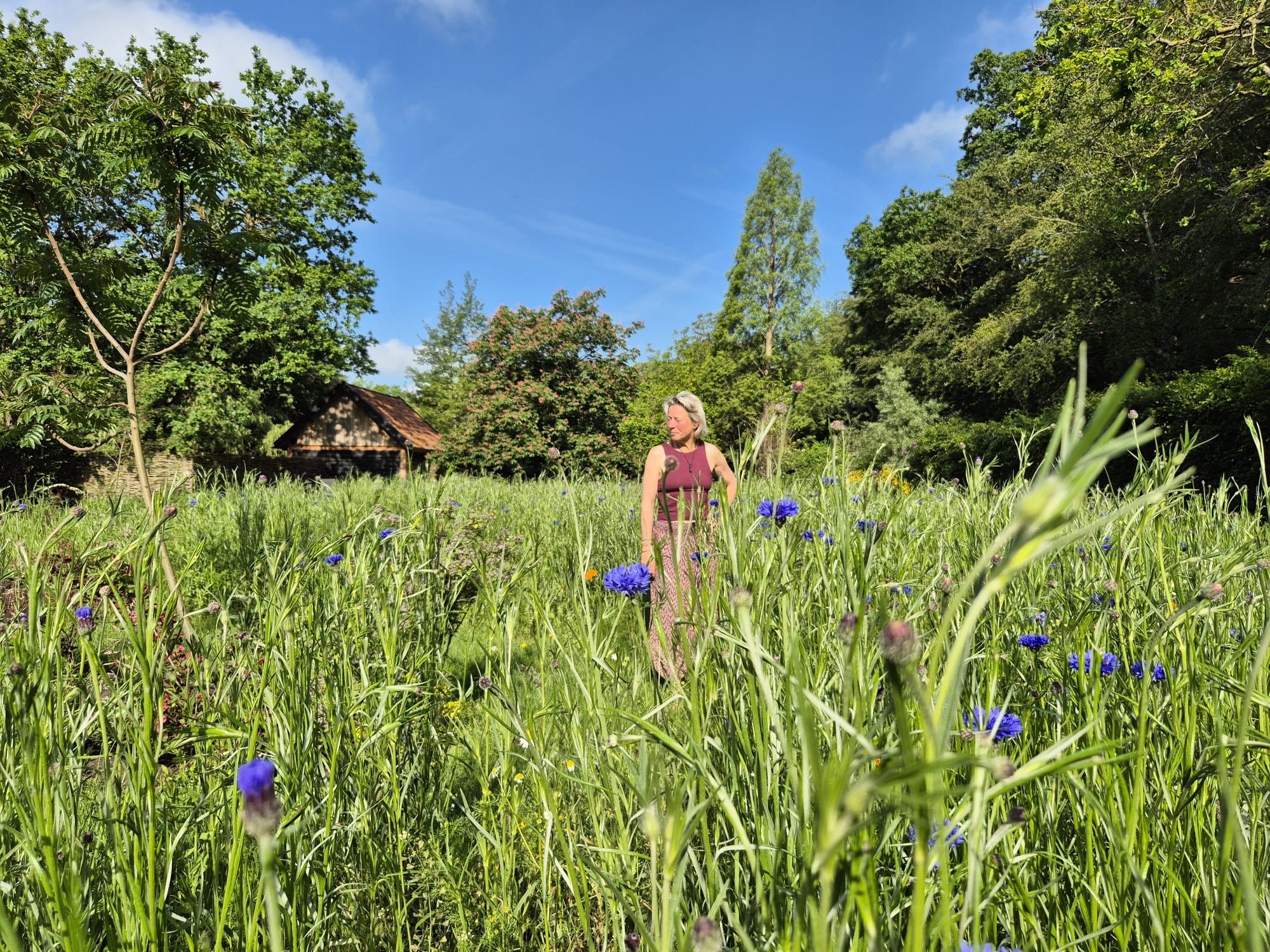 Woman in a burgundy sleeveless top stands among tall wildflowers in a sunny garden with trees and a small wooden shed in the background.