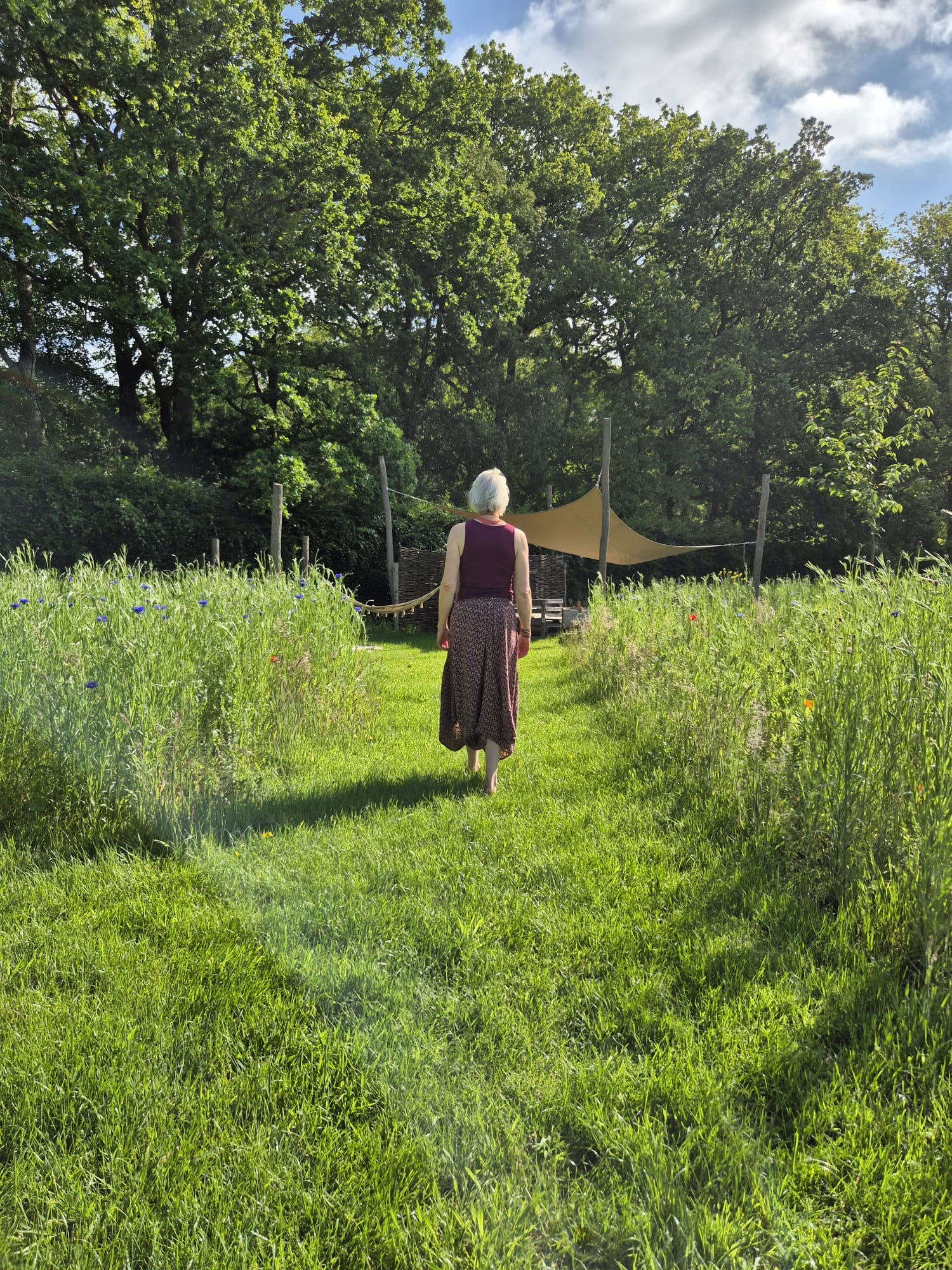 Back view of an elderly woman with white hair walking away along a grassy garden path, surrounded by wildflowers and tall trees on a sunny day.