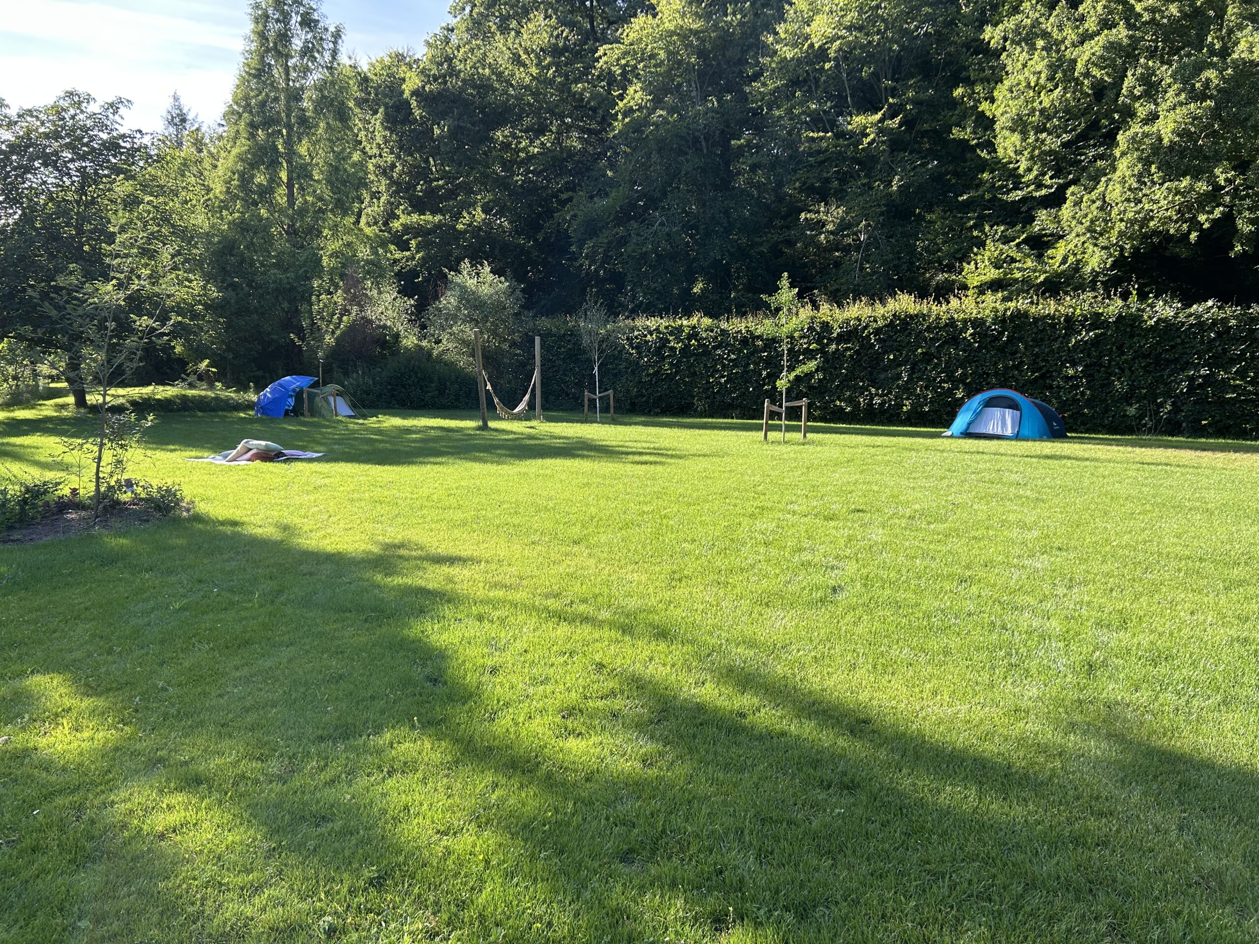 Green park with tents set on the lawn and a hammock between posts, backed by dense trees on a sunny day