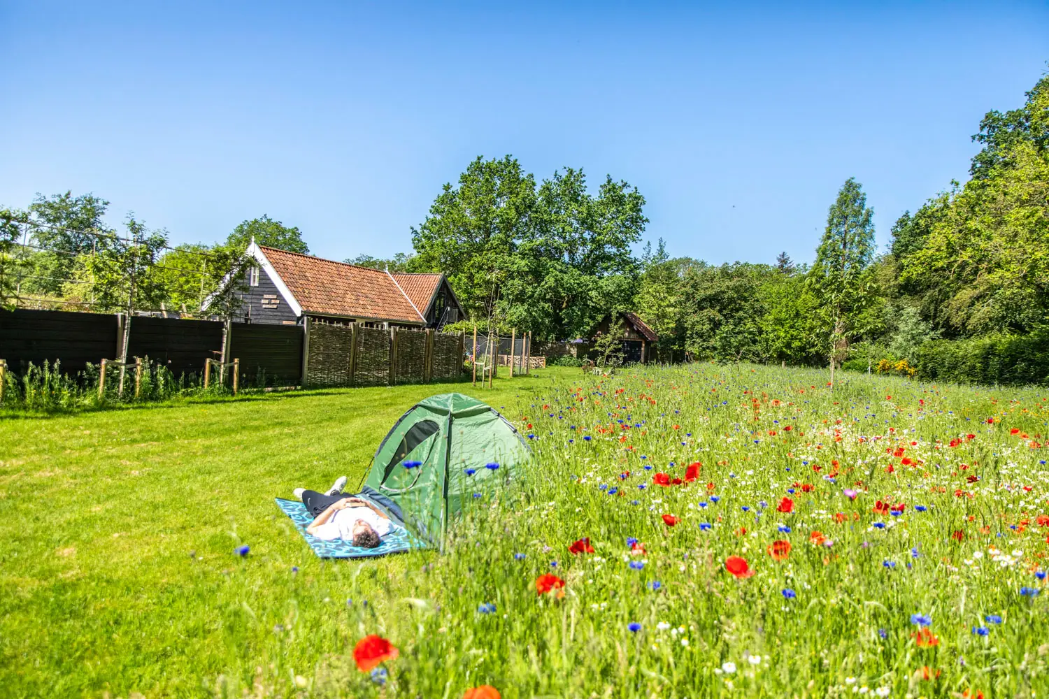 Person relaxing on a patterned mat beside a small green tent in a sunny field of wildflowers.