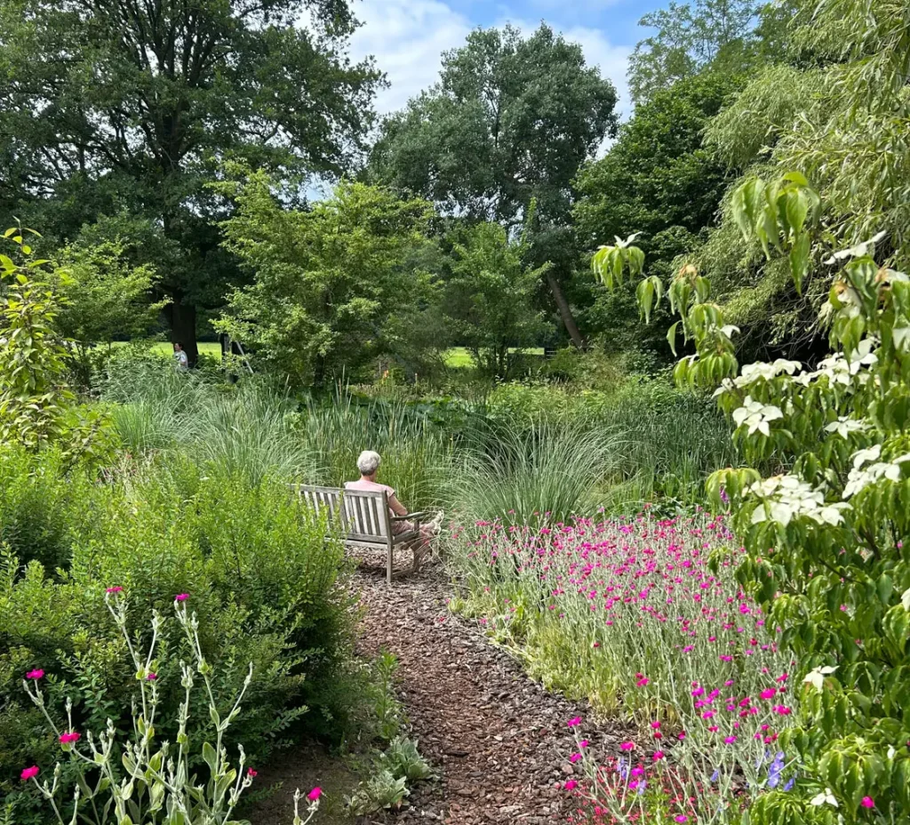 Older person sits on a wooden bench along a winding garden path bordered by pink and purple flowers.
